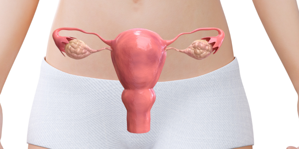 Prolapsos uterinos